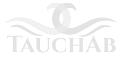 TauchAb – Deine Tauchschule in Zürich Logo